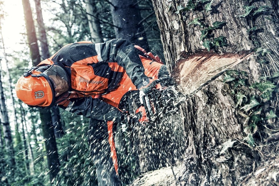 How to Use a Chainsaw Outdoor Power Equipment Sales Corp.